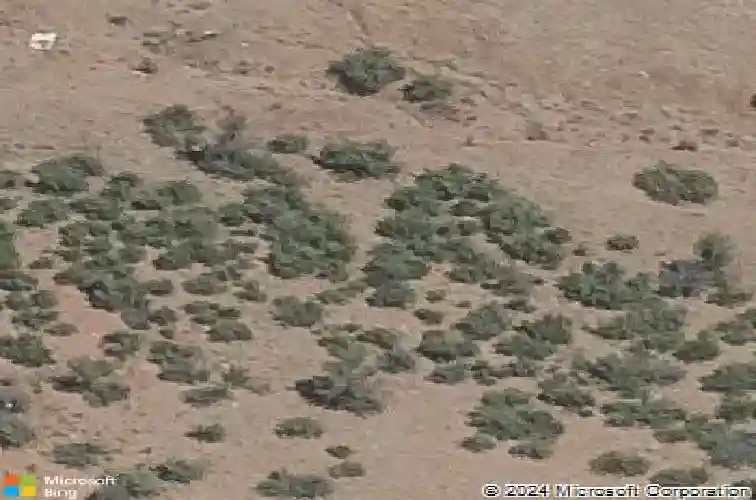 5218 meandering trl, prescott,  AZ 86301