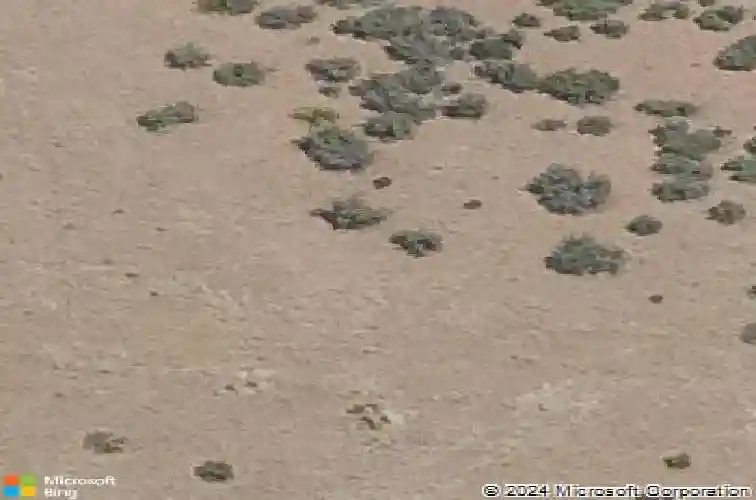 5206 meandering trl, prescott,  AZ 86301