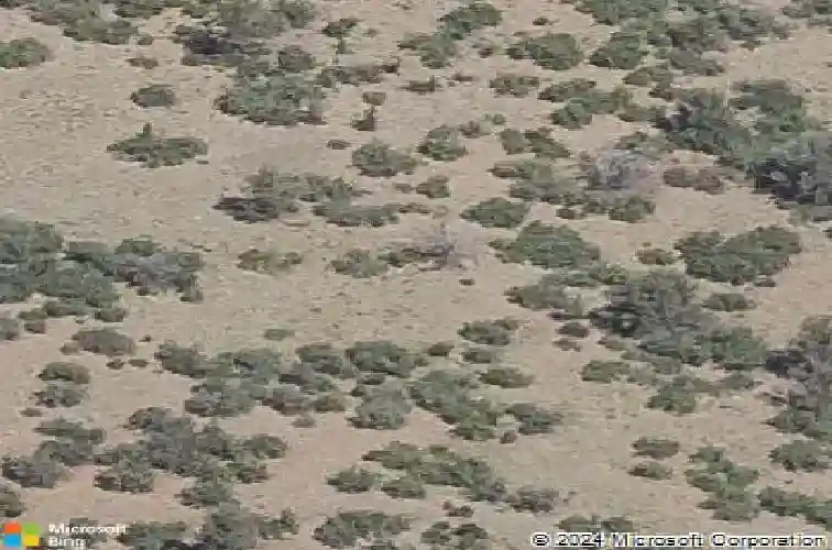 5225 dells point rd, prescott,  AZ 86301