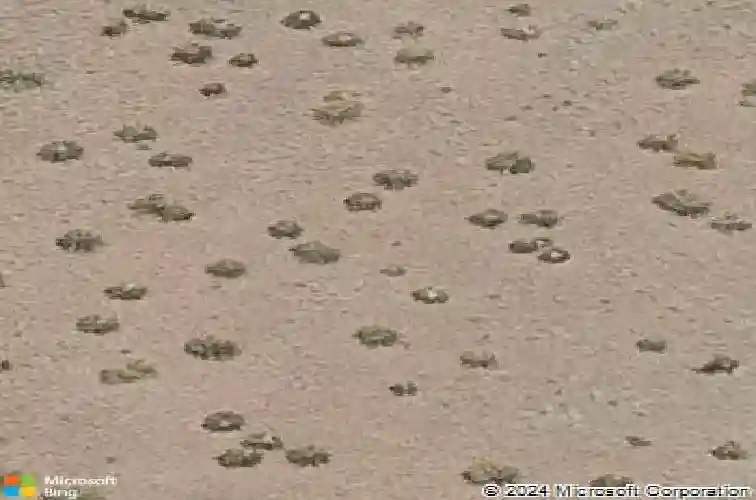 3217 willow butte cir, prescott,  AZ 86301