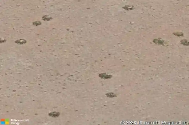 3259 jagged spire ct, prescott,  AZ 86301