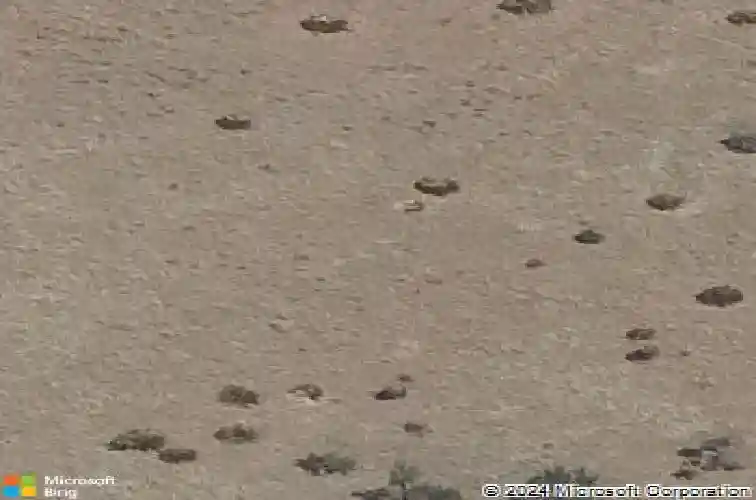 3126 leaning rock rd, prescott,  AZ 86301