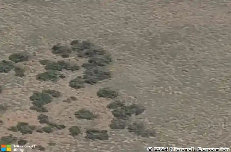 7028 sienna pl, prescott,  AZ 86305