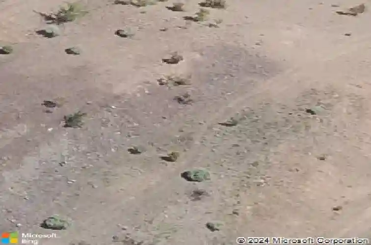 1185 s lakeview drive, prescott,  AZ 86301