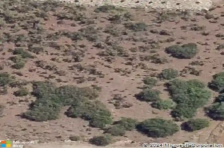 1324 pratt st, prescott,  AZ 86301