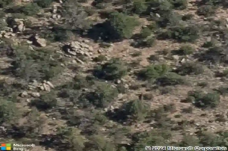 2217 n williamson valley rd, prescott,  AZ 86305