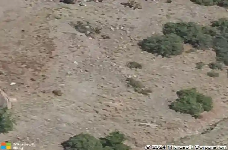 696 mines pass, prescott,  AZ 86301