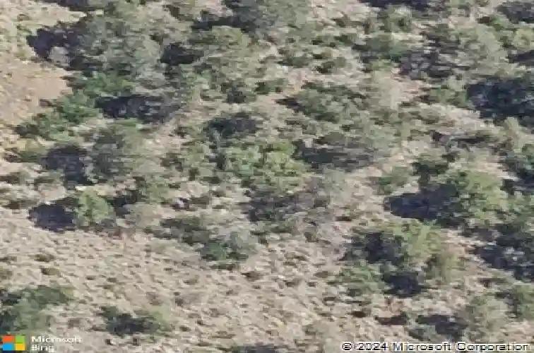 652 w lee blvd
                                ,Unit 807, prescott,  AZ 86303