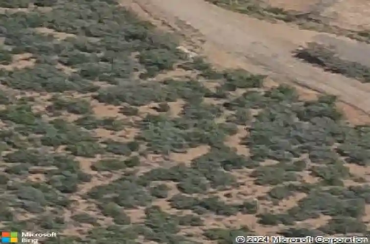 14909 e state route 169, dewey,  AZ 86327