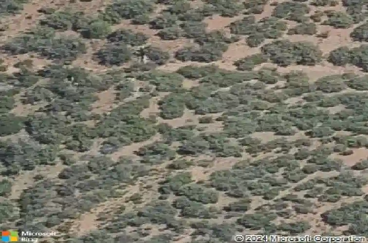 599 s apache knolls trl, dewey,  AZ 86327