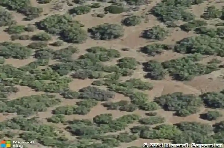 10424 e prescott dells rd, dewey,  AZ 86327