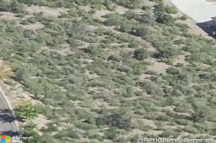 1300 newport ridge dr
                                ,Unit 116, prescott,  AZ 86303