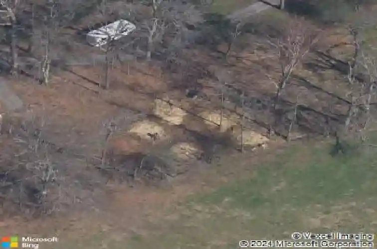  maryville,  TN 37804