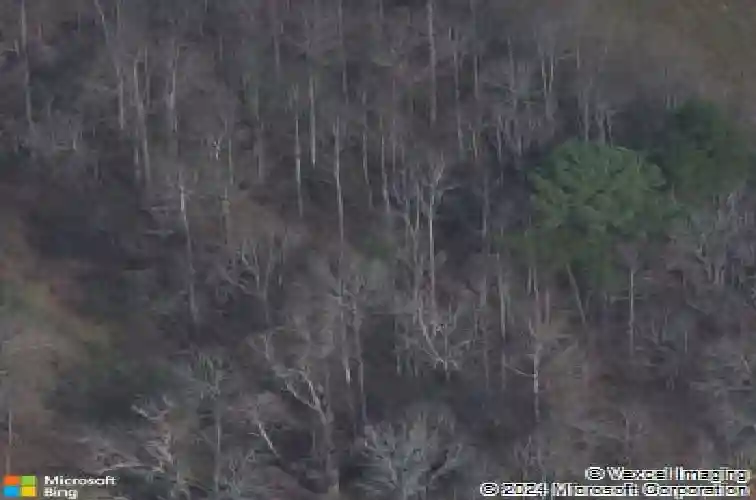  maryville,  TN 37803