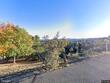 4967 willet ct, prescott,  AZ 86301