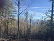  townsend,  TN 37882