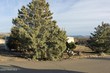 15455 s rolling ridge dr, mayer,  AZ 86333